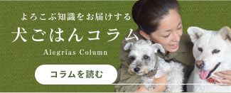 コラム