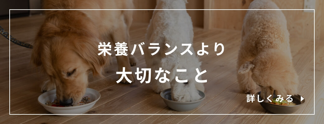 栄養バランスより大切なこと