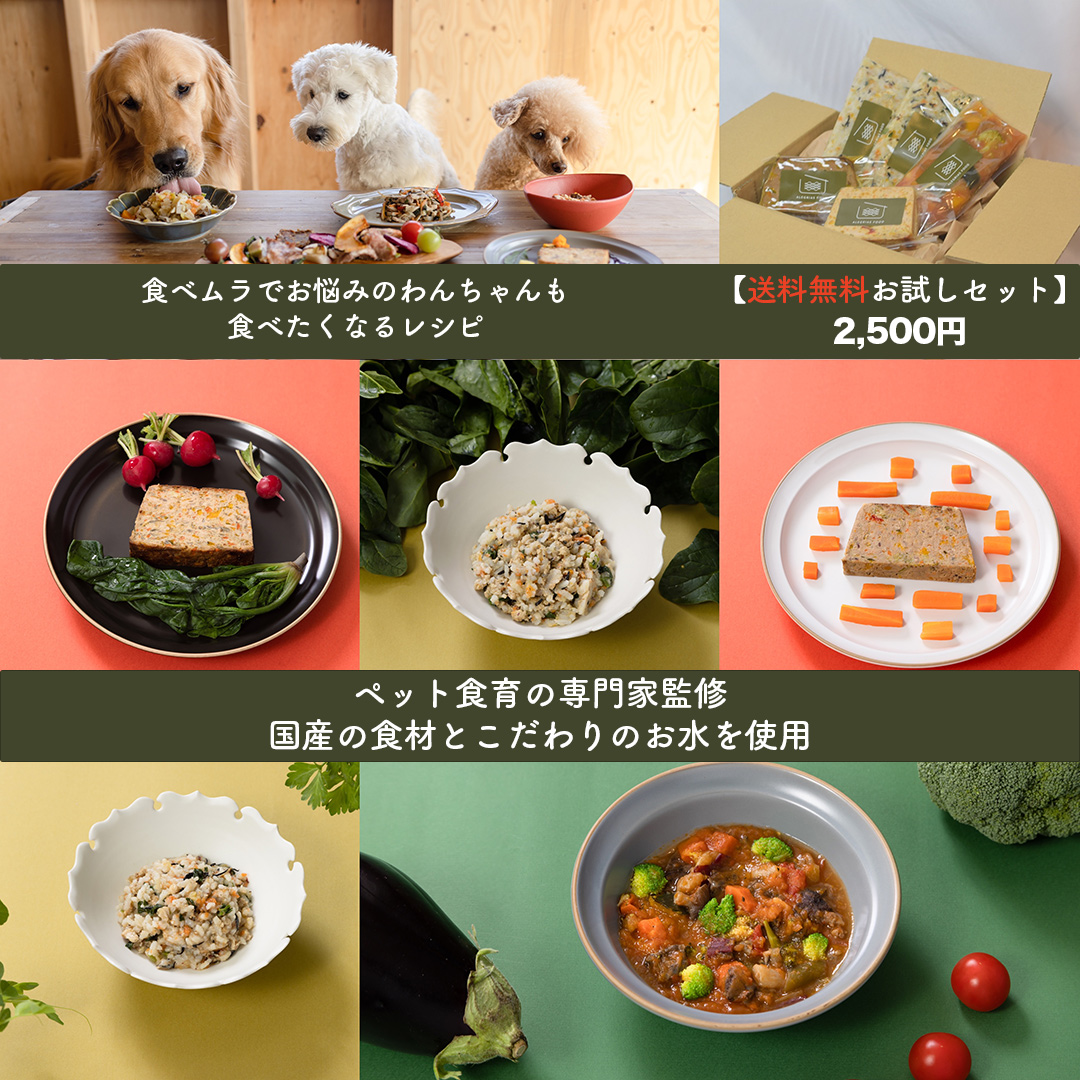 お試しセット