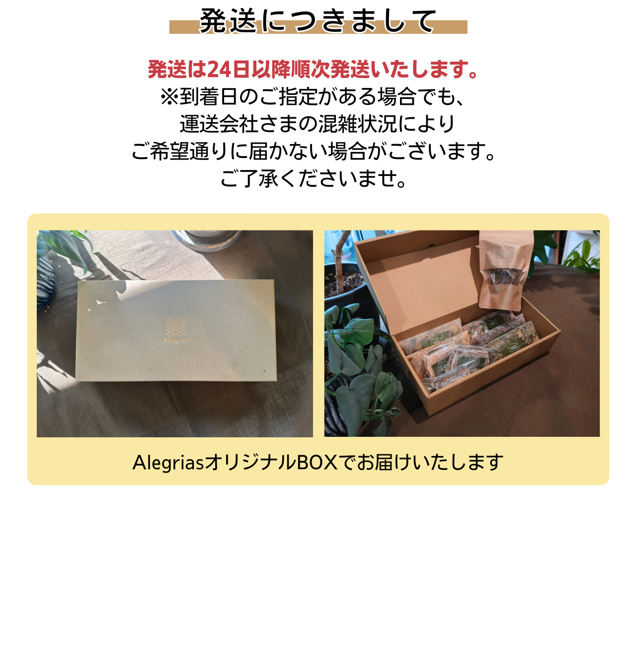 2026年お年玉セット5-2